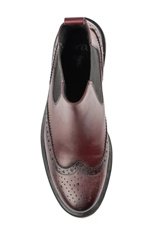 CLEARANCE - Ara - Tulip