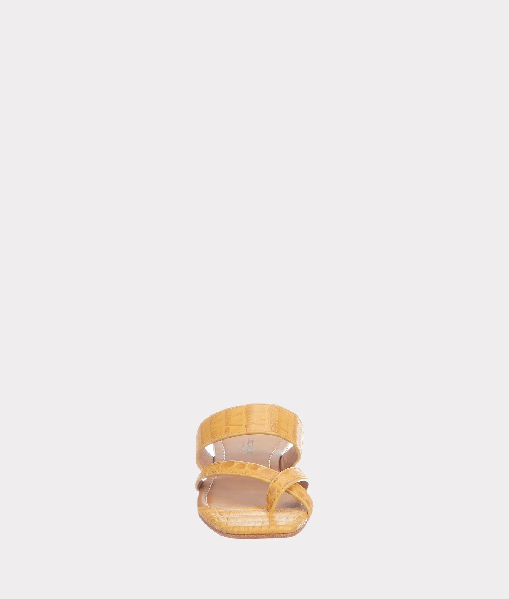 Fiorella :: Butterscotch
