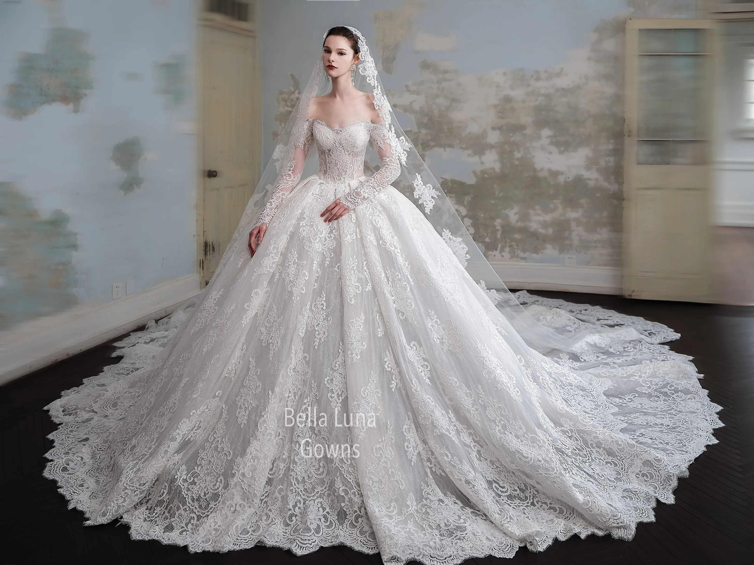 Isabella's Custom Dress Order/VIPCS33