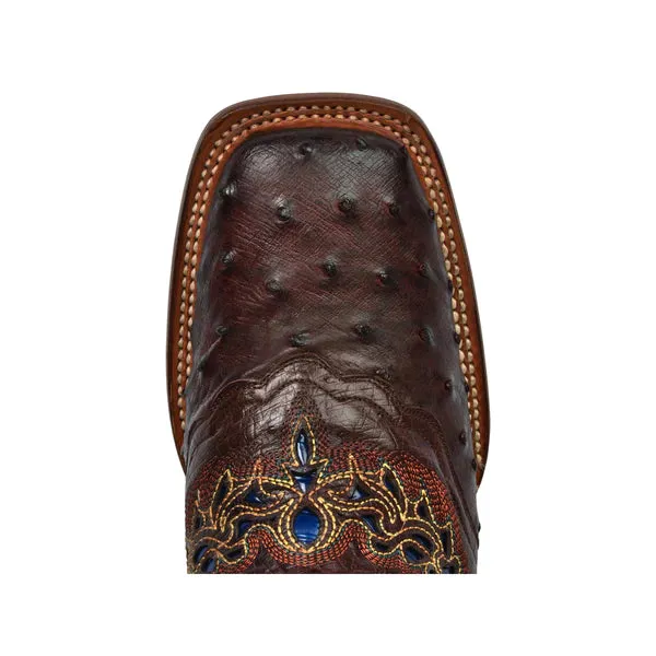 Lucchese Women's Brown Ostrich Boots with Blue Top with Embroidery