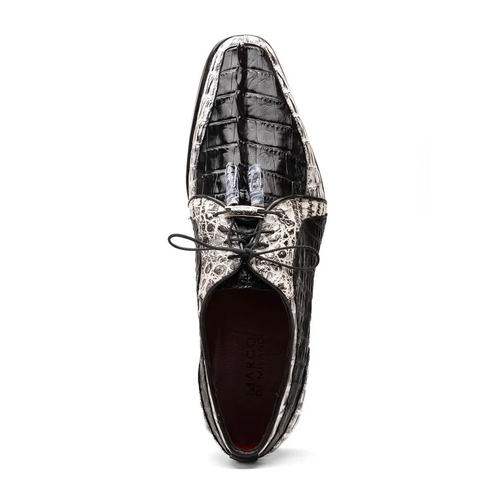 Marco Di Milano Caribe Newspaper-Black Caiman Crocodile Derby