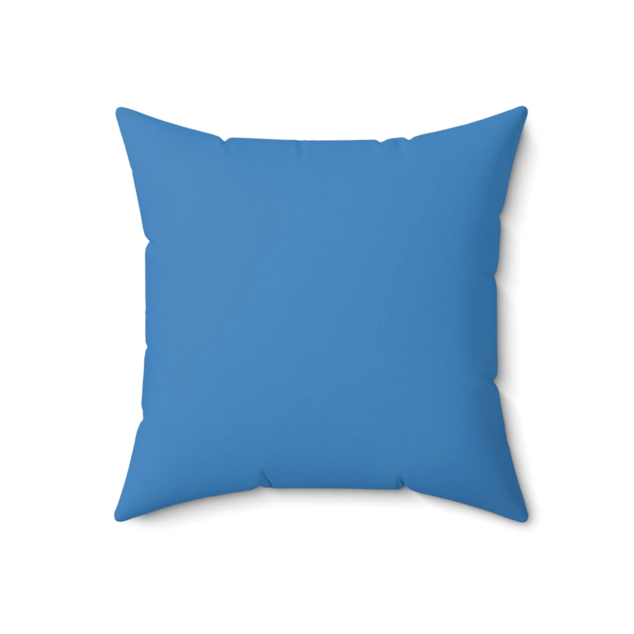 Netherlands Decor Pillow