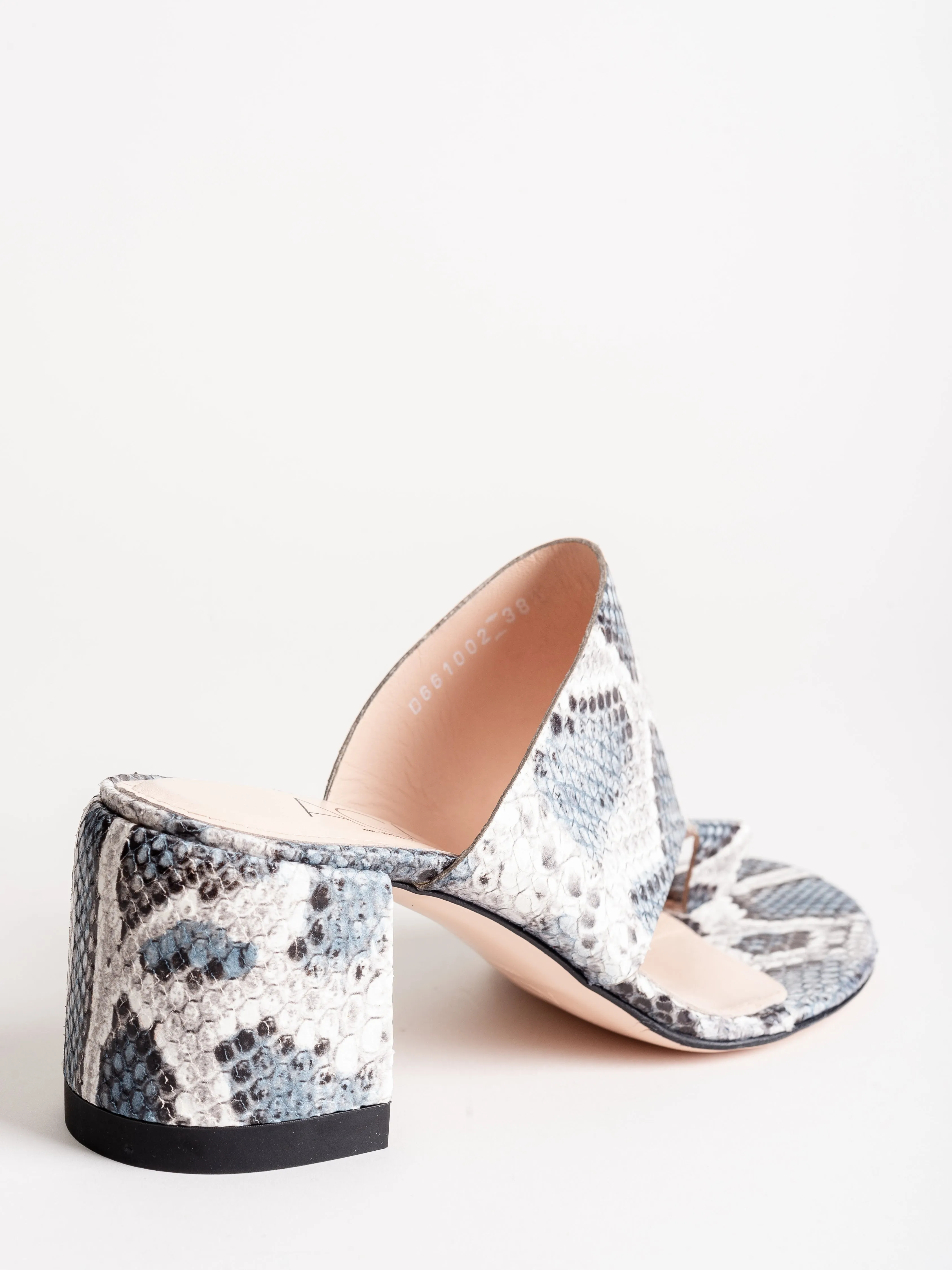 slides - blue snake