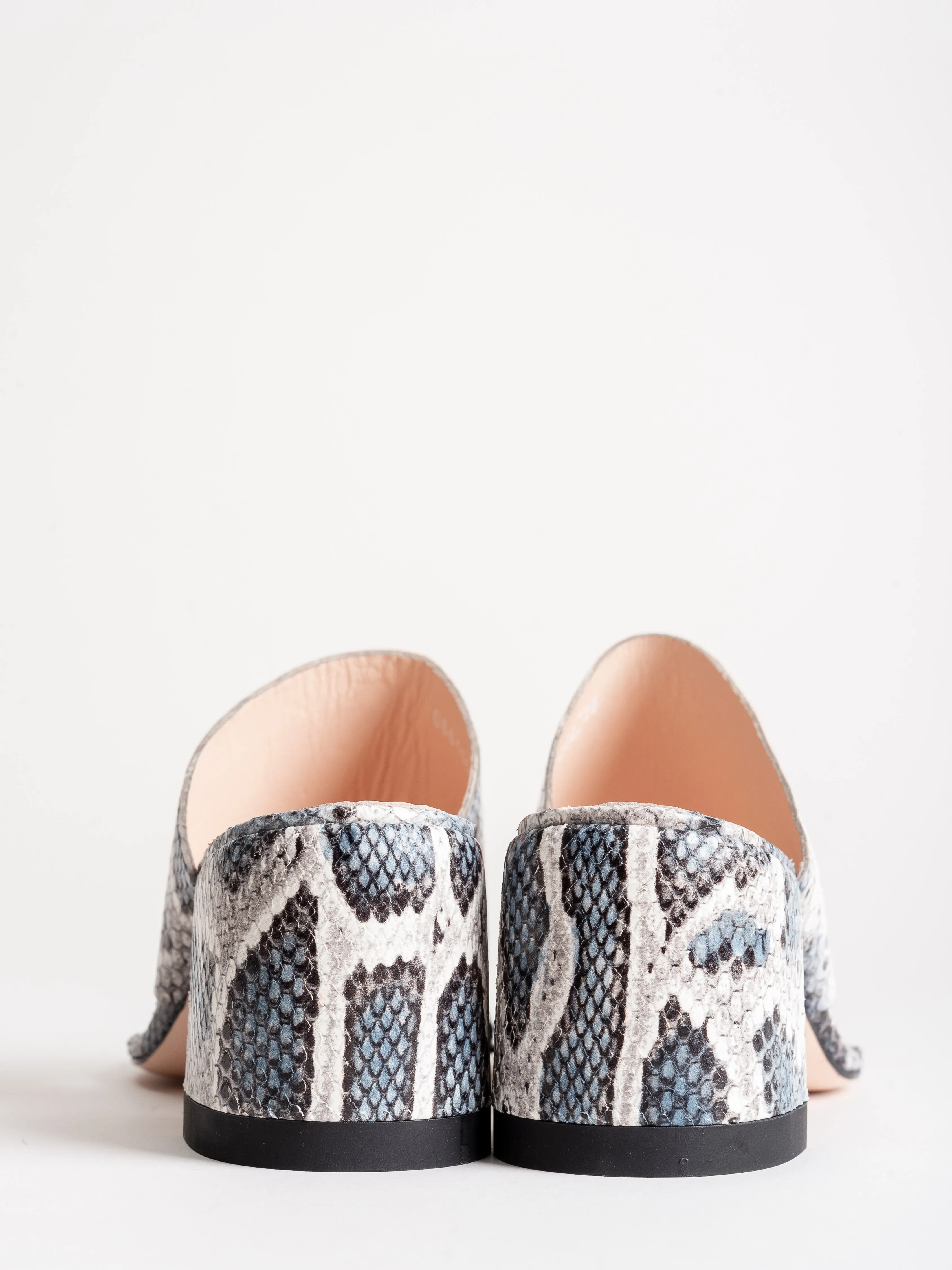 slides - blue snake