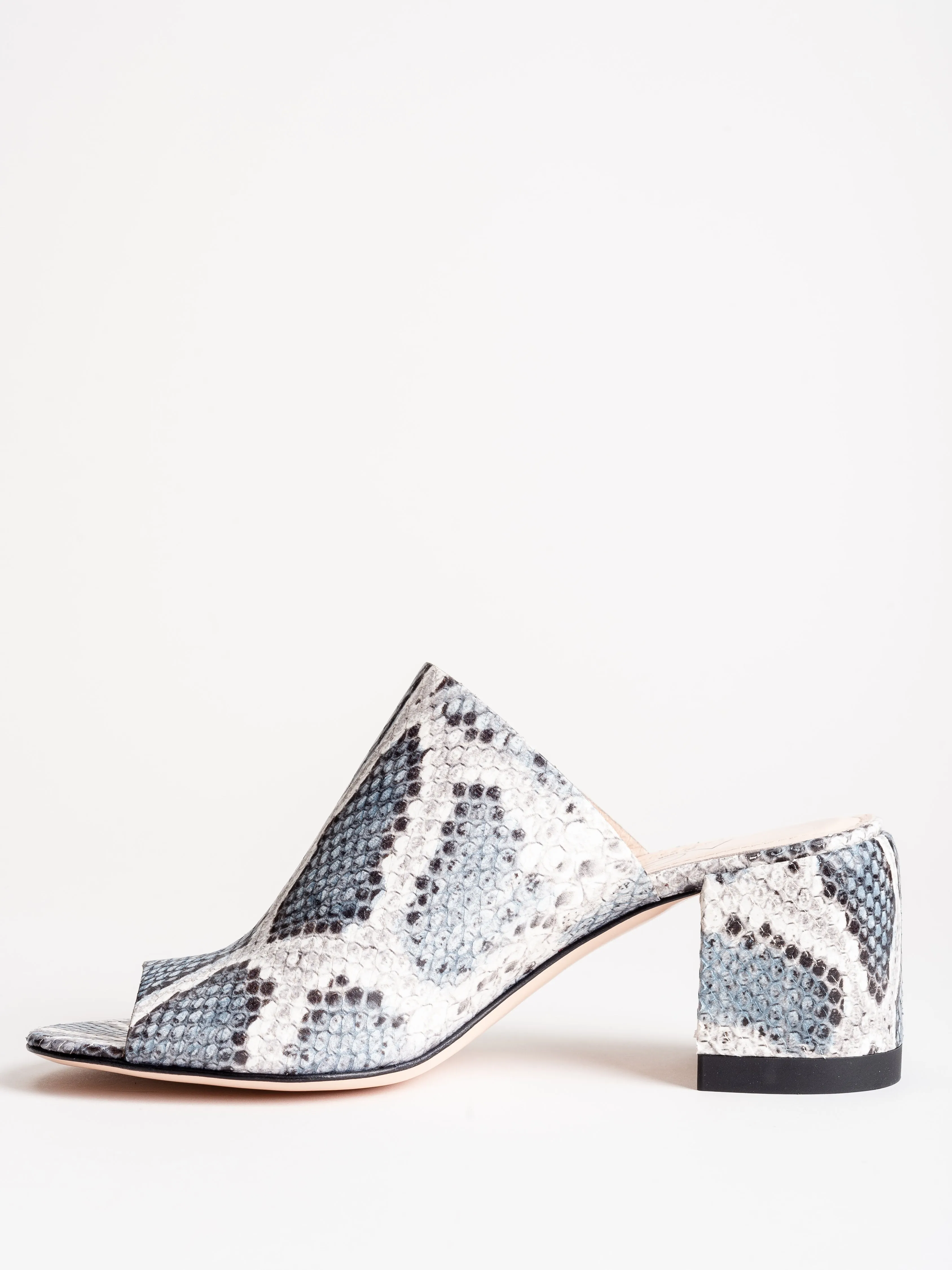 slides - blue snake
