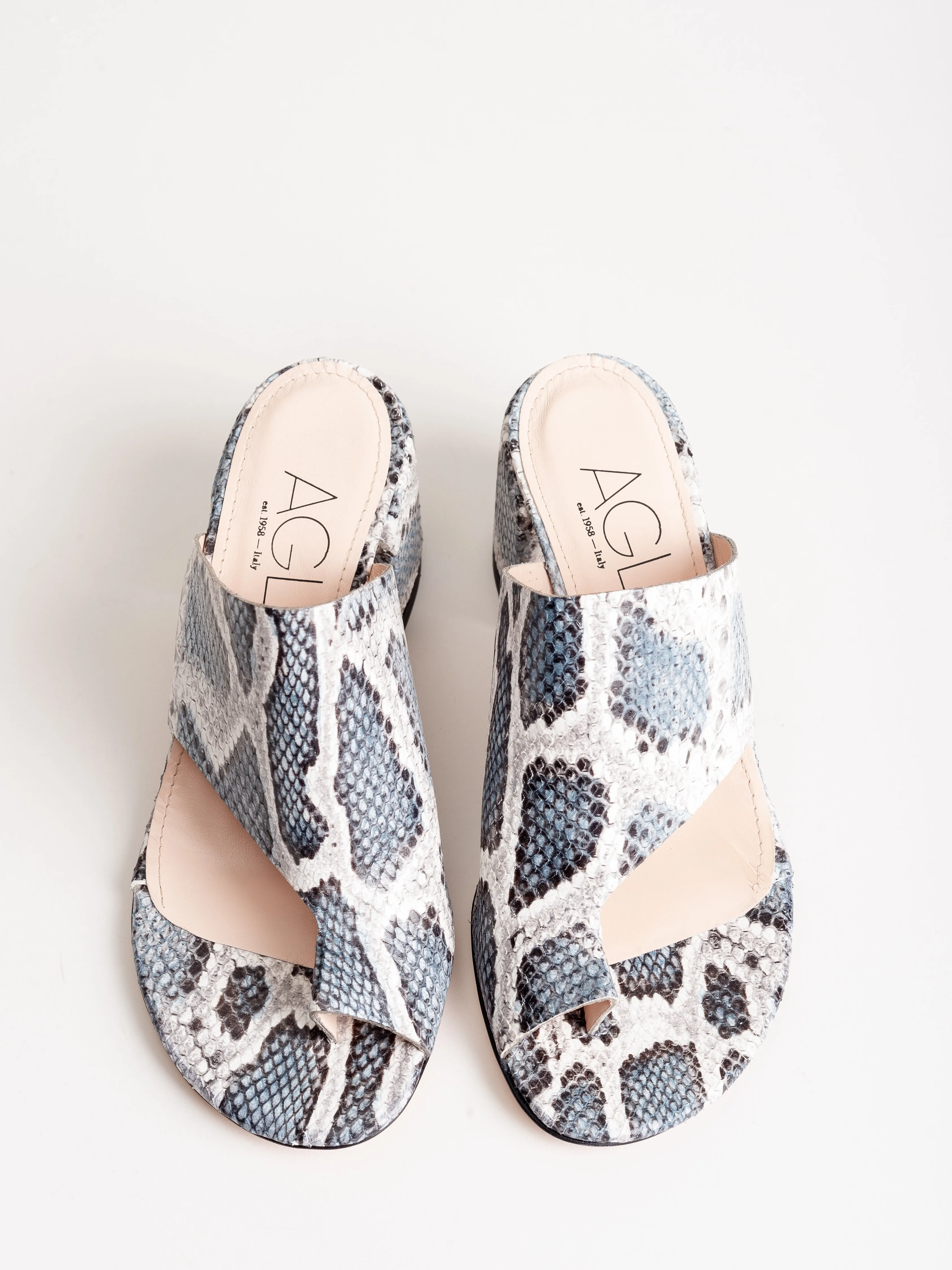 slides - blue snake